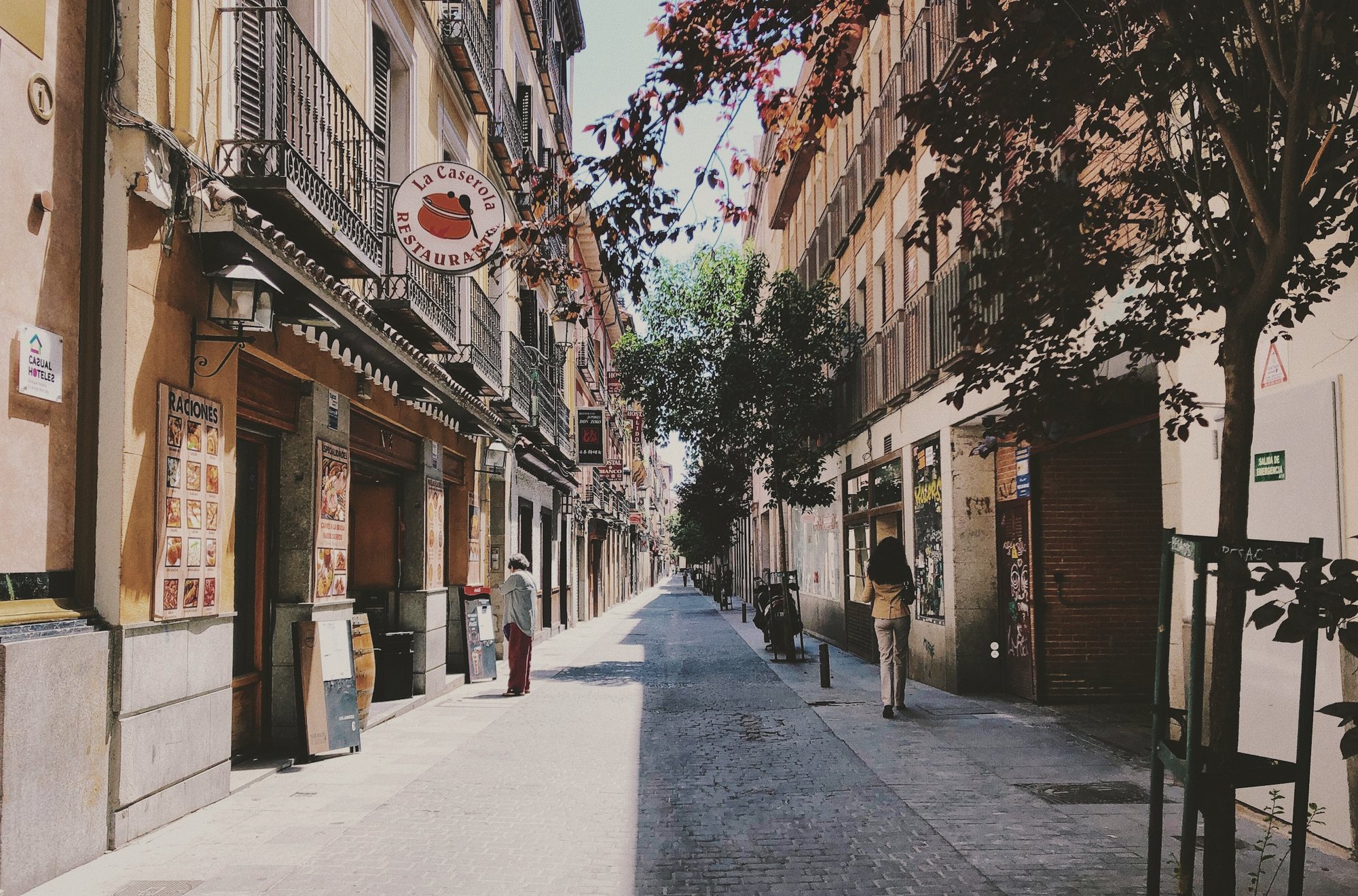 Calle arbolada de la ciudad